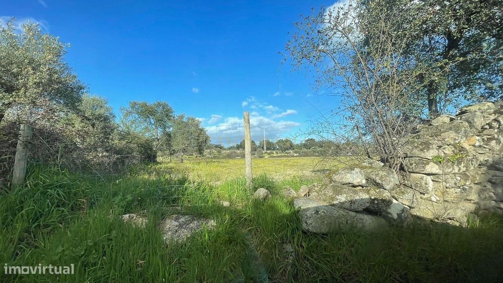 Terreno Rústico | Escalos de Cima, Castelo Branco