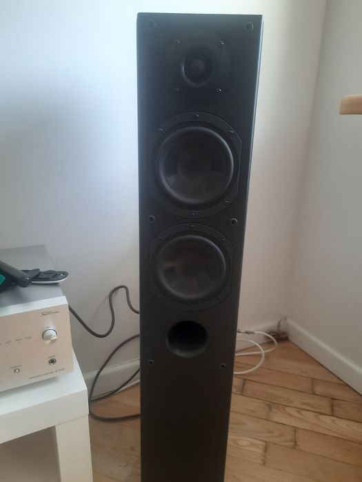 Kolumny Indiana line nota 550x