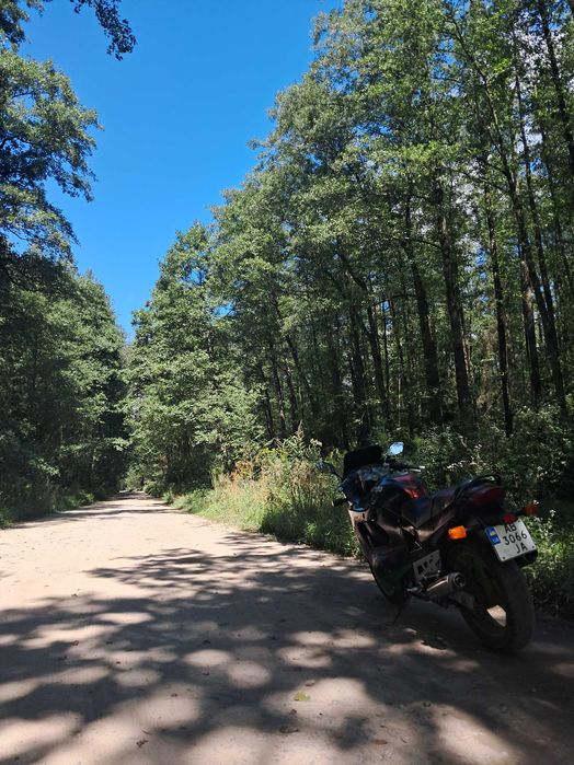 Suzuki KATANA 600 переоформленя