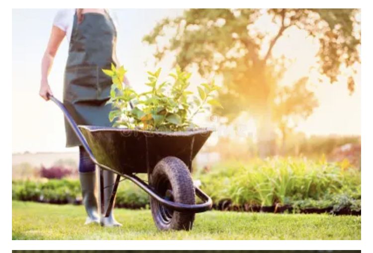 Садовник-выполняем все садовые работы