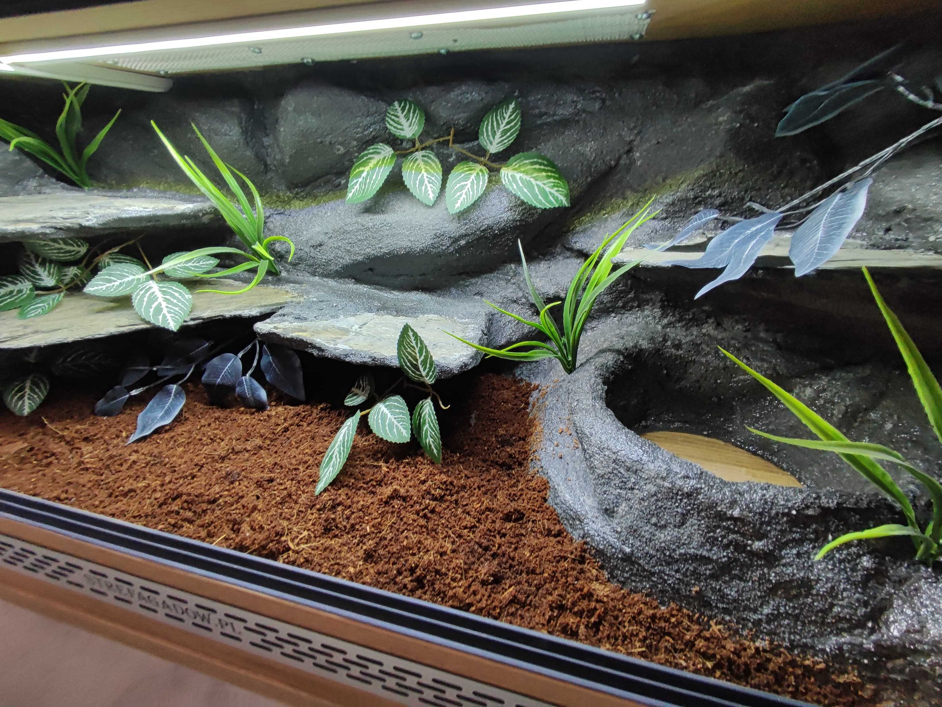 Terrarium tropikalne nr725 100/40/40 dla węża boa pyton DOSTĘPNE