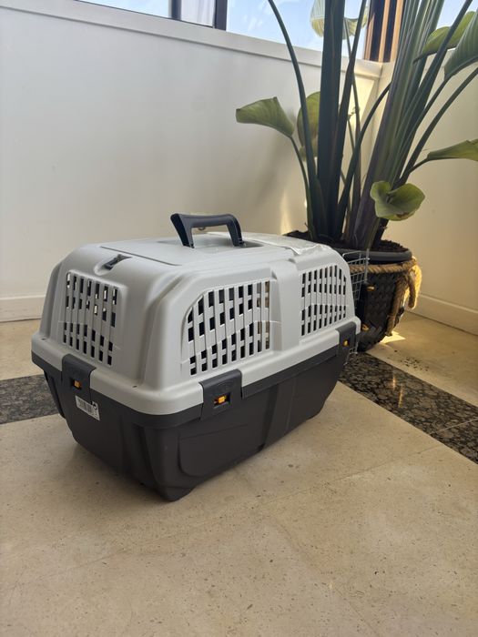 Caixa de transporte animal