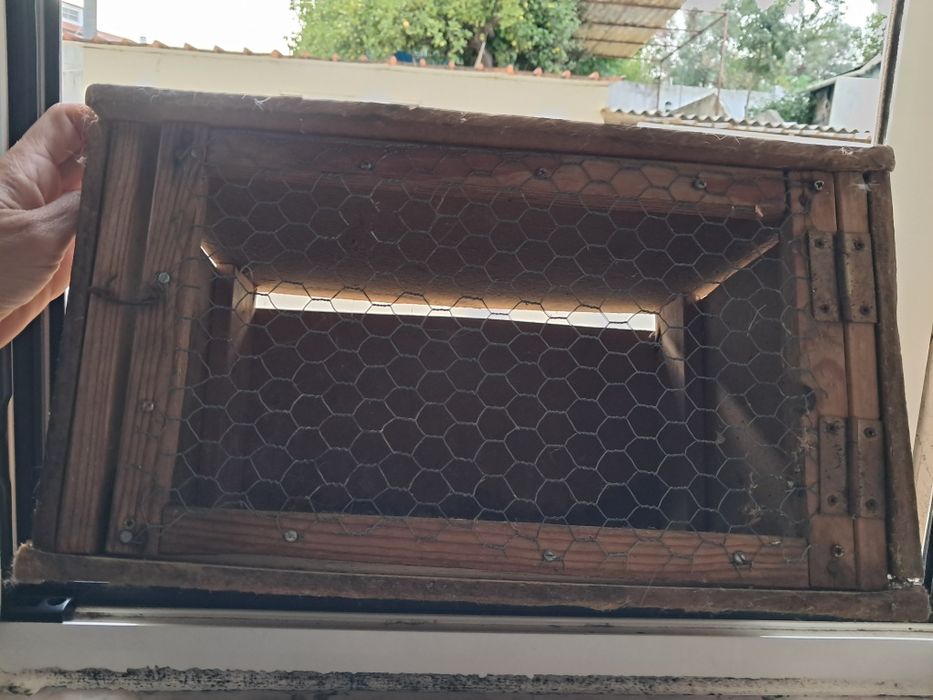 Caixa de transporte de pombos