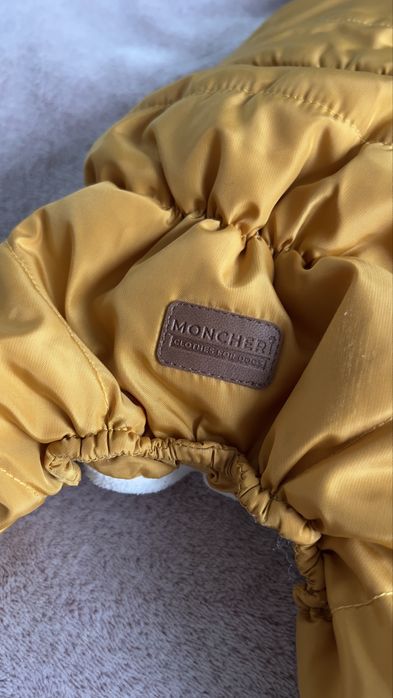 Зимовий комбінезон для собак