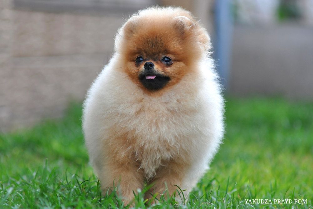 Незабутні очі цього малюка