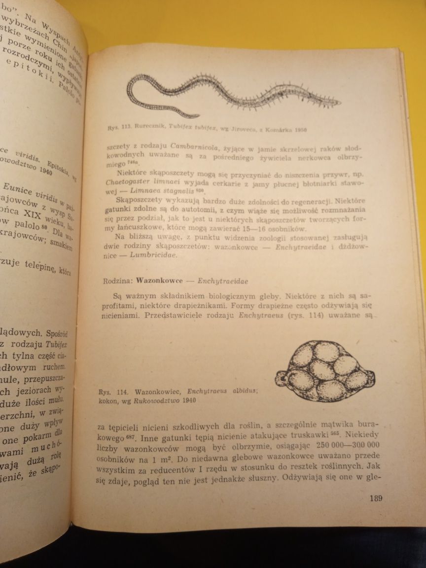 Zoologia stosowana-kawecki.