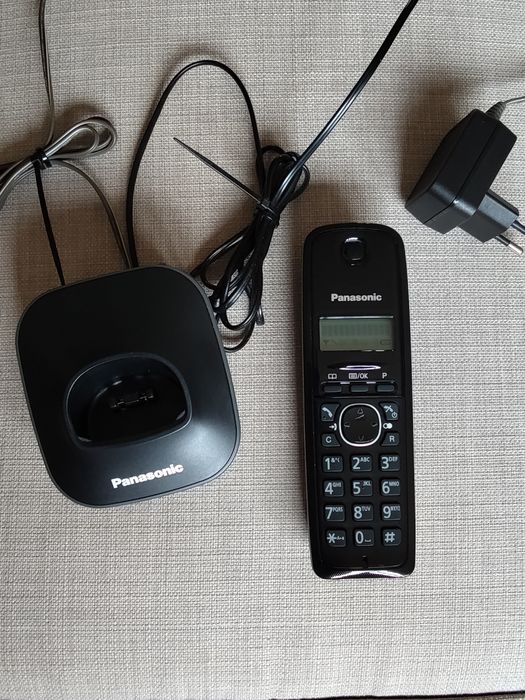 Telefon stacjonarny Panasonic KX-TG1611PD