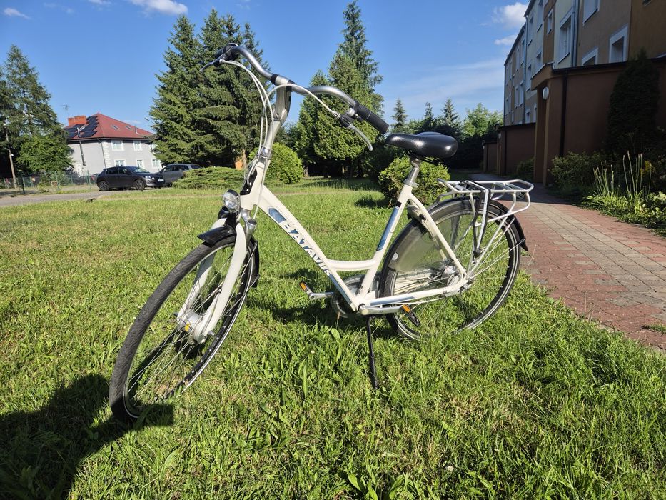 Rower Batavus Monte Carlo 7