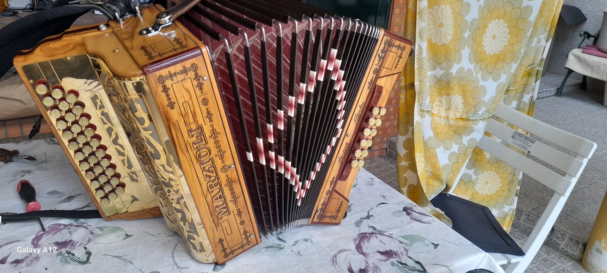 Concertina  Marziolli  Madeira