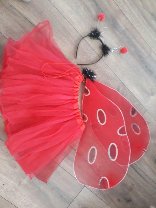 Strój biedronki 92-110