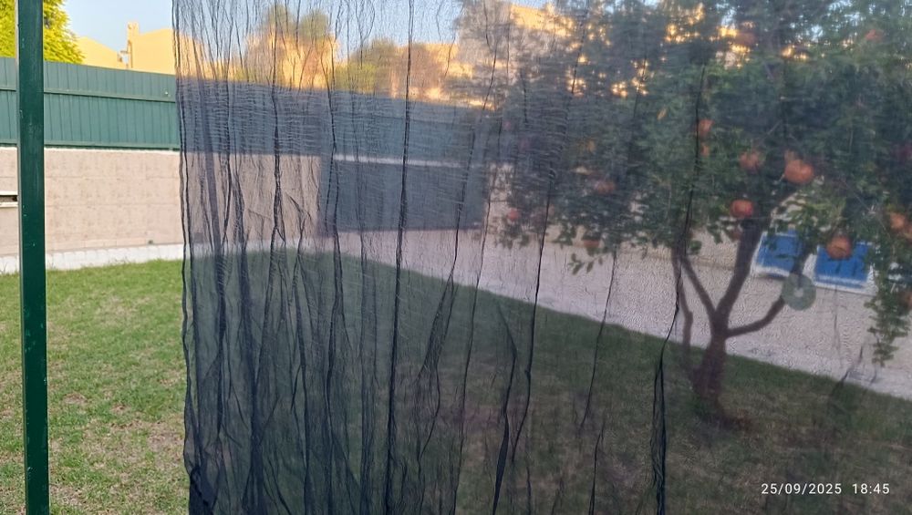 Cortinados transparentes pretos