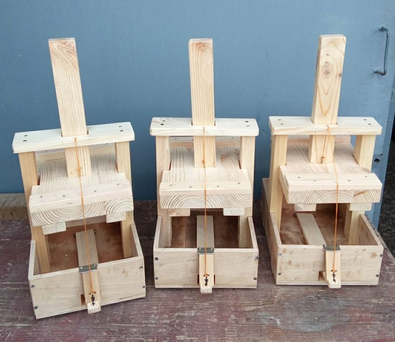 Крисоловка мишоловка крисобійка