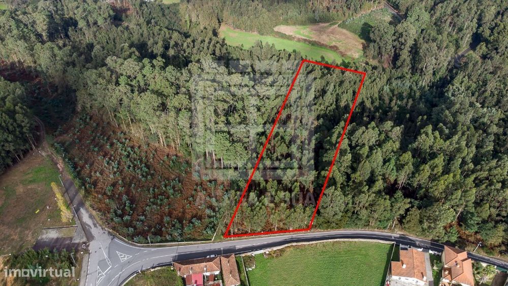 Terreno com 3.800m2 em S. Miguel do Souto, SMF