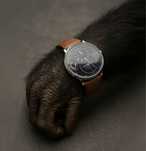 Louis Erard Regulator