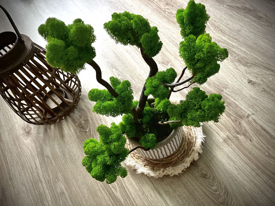 Podziękowania dla Rodziców drzewo z mchu personalizacja