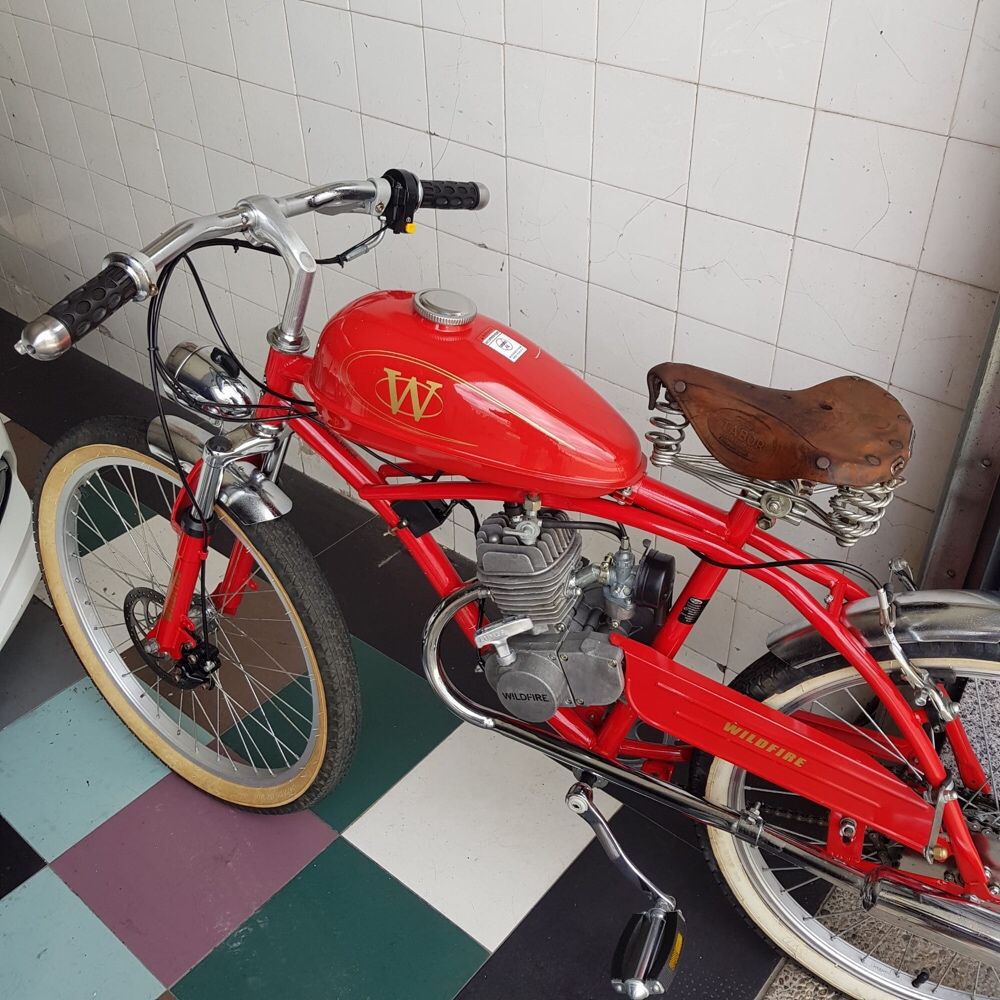 Bicicleta motor bina