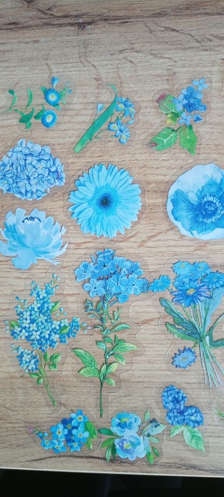 Naklejki do księgi gości, niebieskie kwiaty
