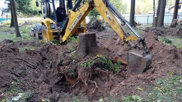 Зрізання дерев, Розчистка ділянок, Демонтаж, корчування, Спил, обрізка