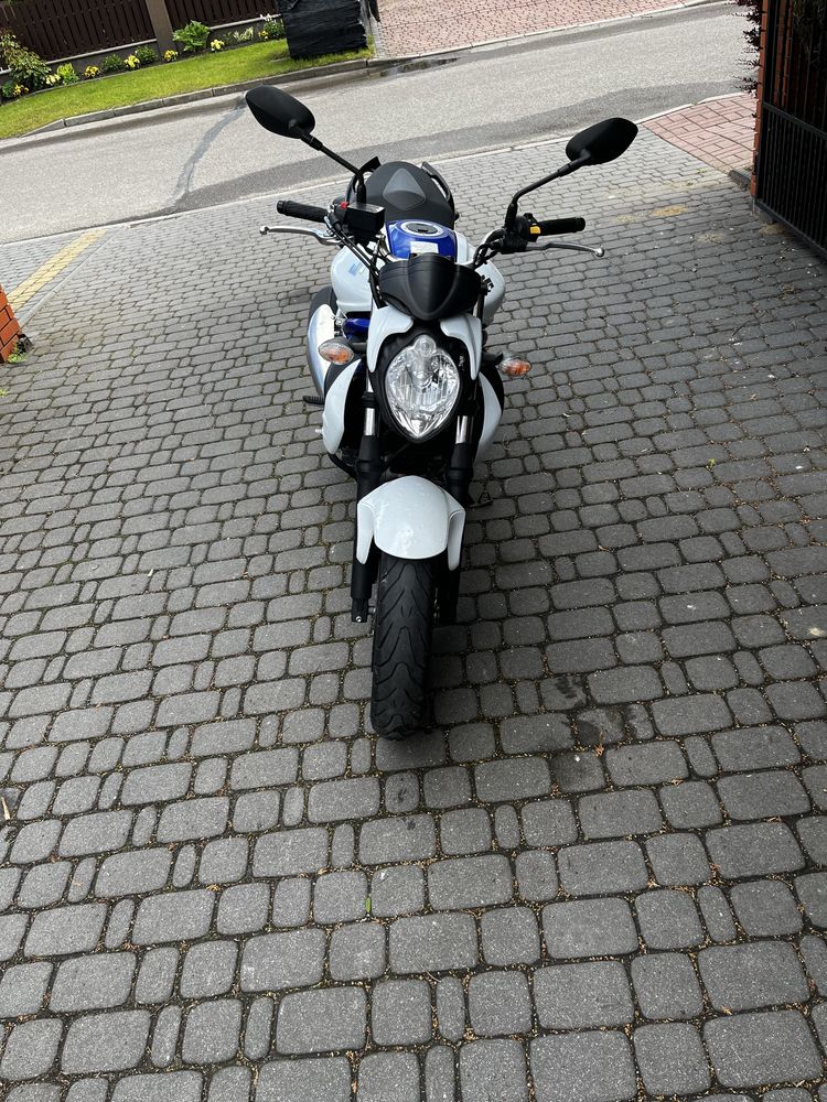 Suzuki SVF 650 Gladius