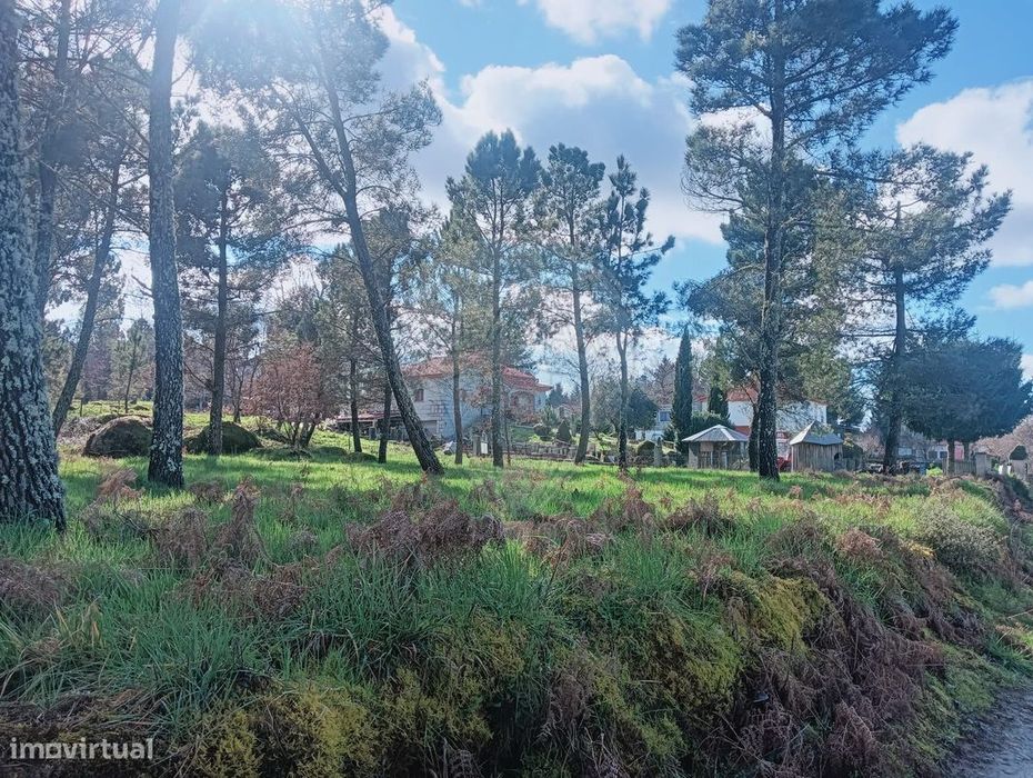 Terreno  para venda