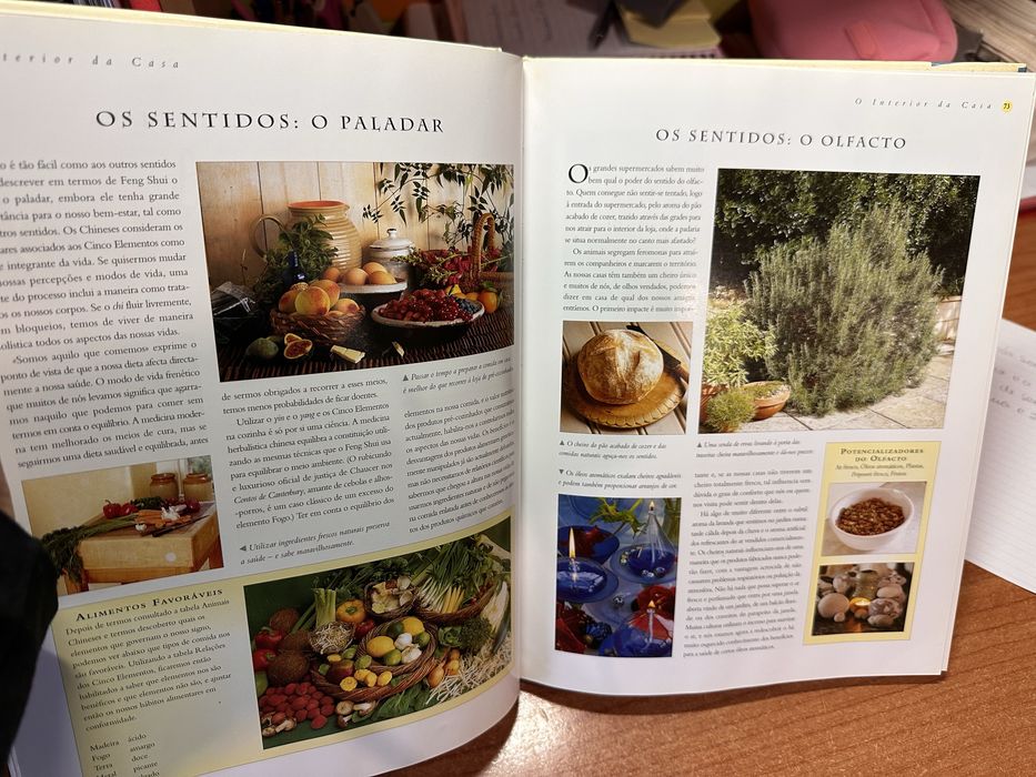 Manual Enciclopédico de FENG SHUI