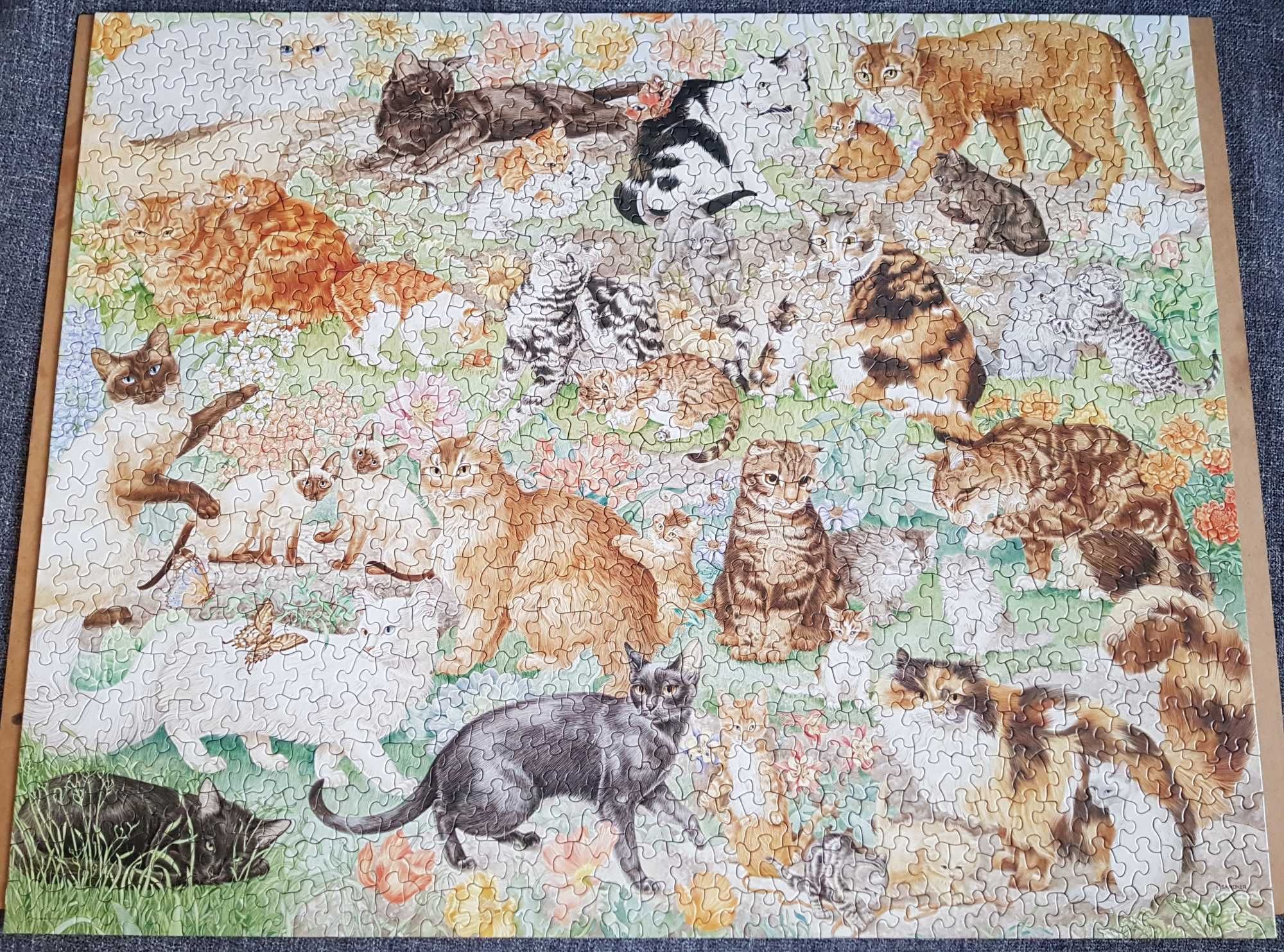 Puzzle Springbok 1000 | nietypowe kształty