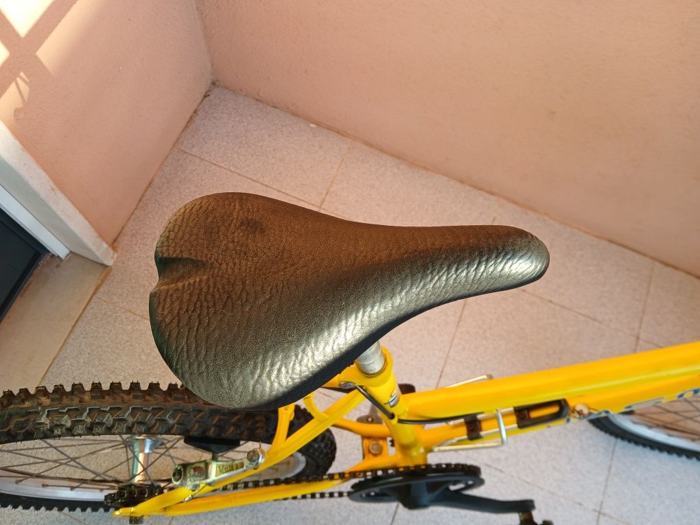 Bicicleta de criança roda 20