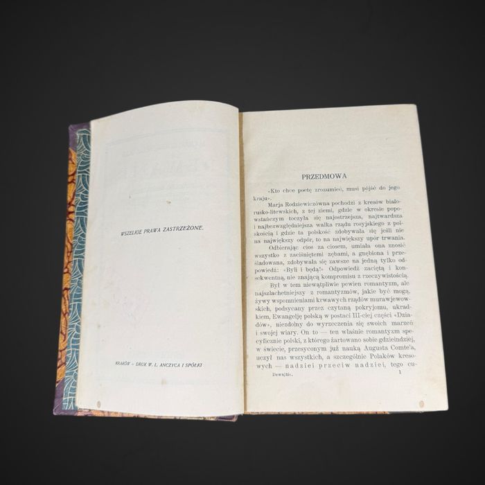 Maria Rodziewiczówna Dewajtis Tom I Powieść J5/073003