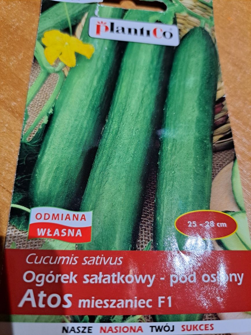 Ogórki   nasiona