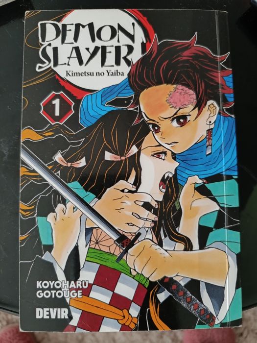 Demon slayer 1 e 2 usados