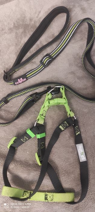 Szelki i smycz dla psa komplet