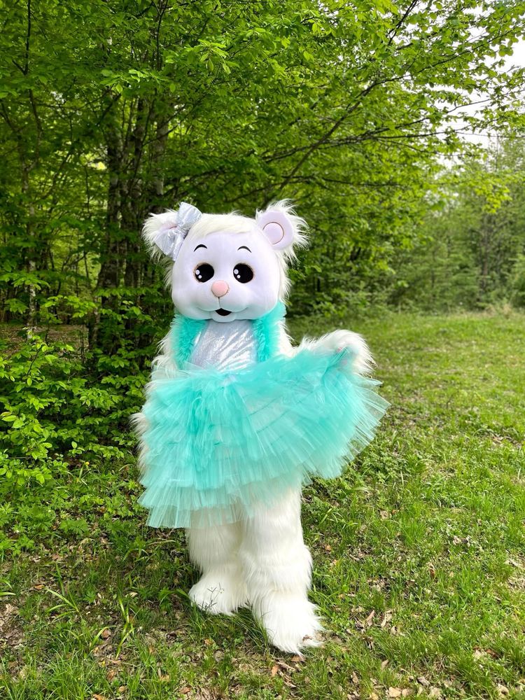Костюм аніматора