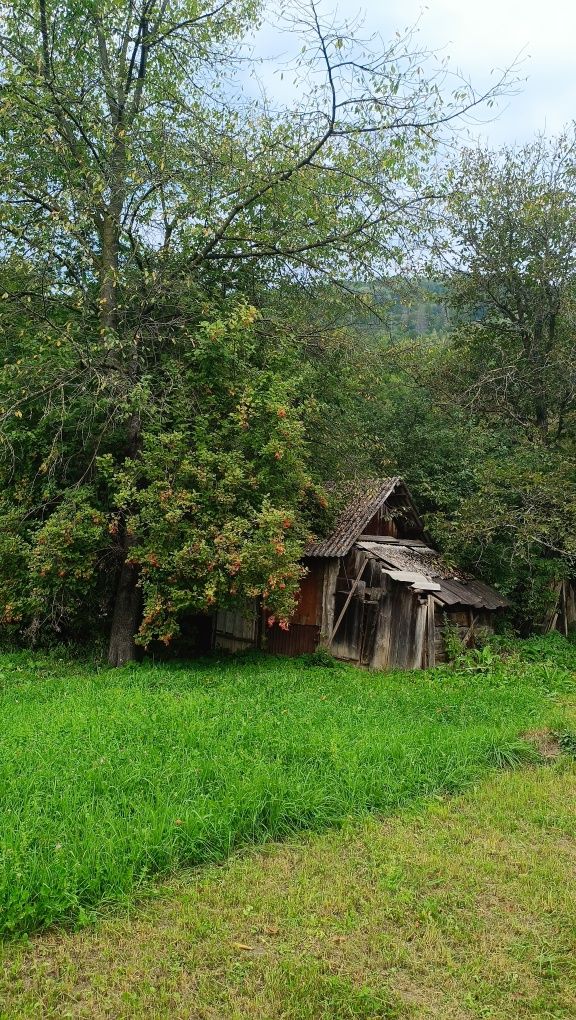 Будинок земля в горах с. Розтоки