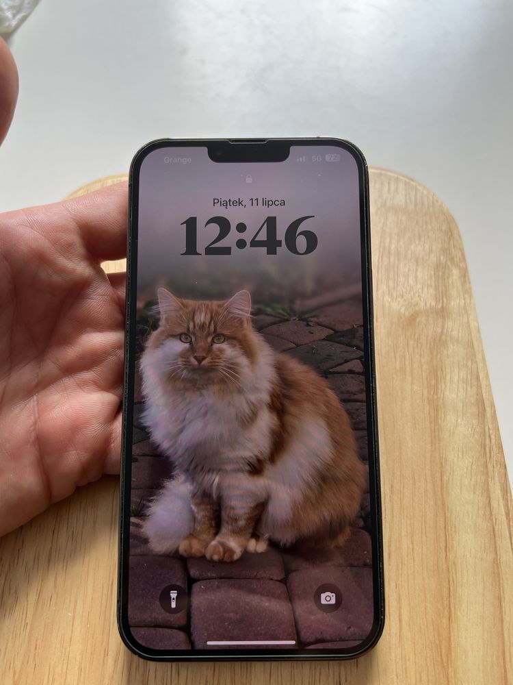 Iphone 13 pro max 256gb