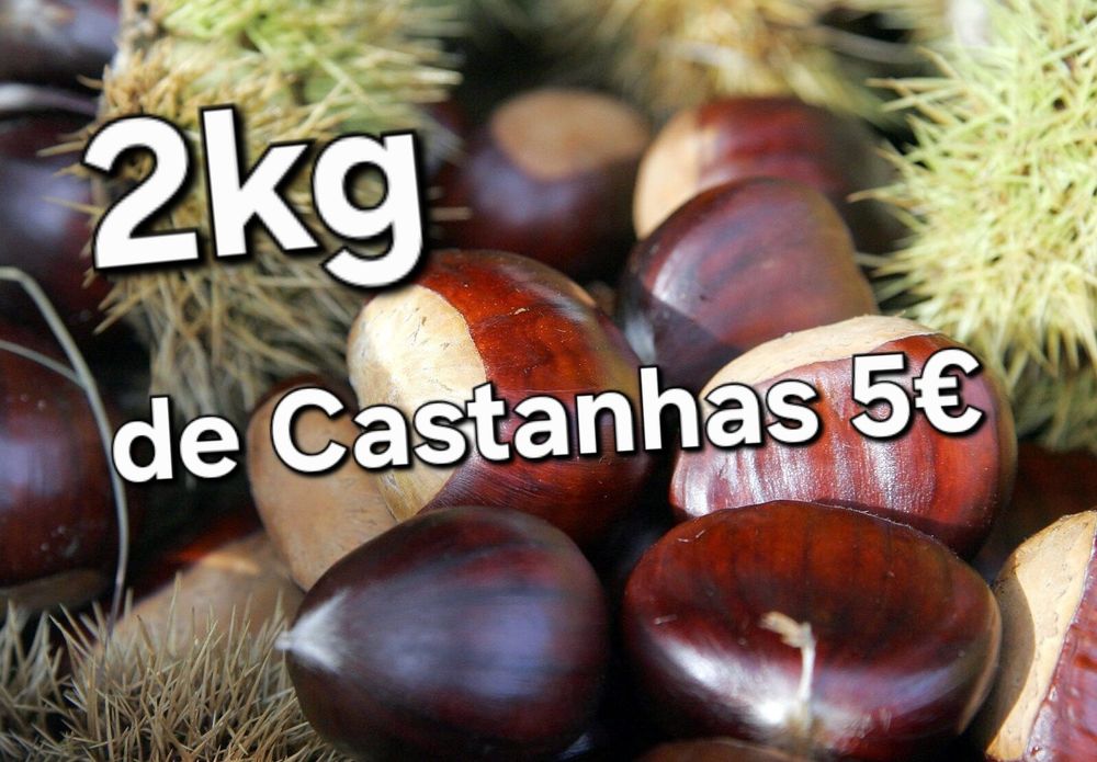Castanha de boa qualidade