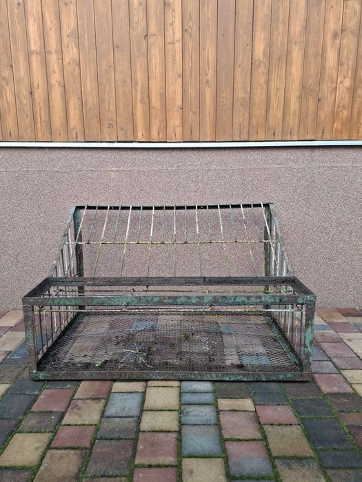 Wlot Wylot belgijski dla gołębi, ptaków 100cm