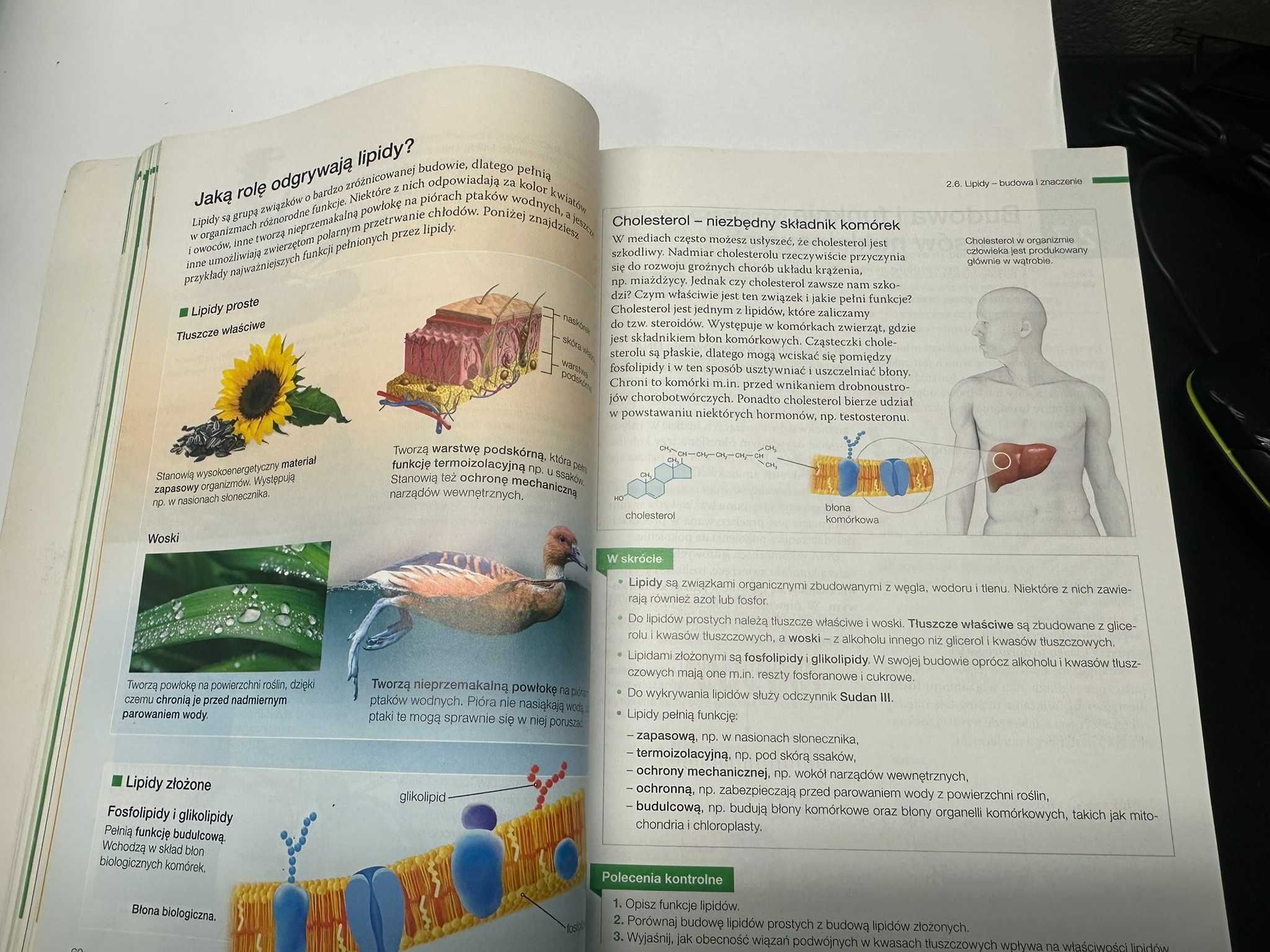 Biologia na czasie. Podręcznik dla LO i technikum. Zakres podstawowy