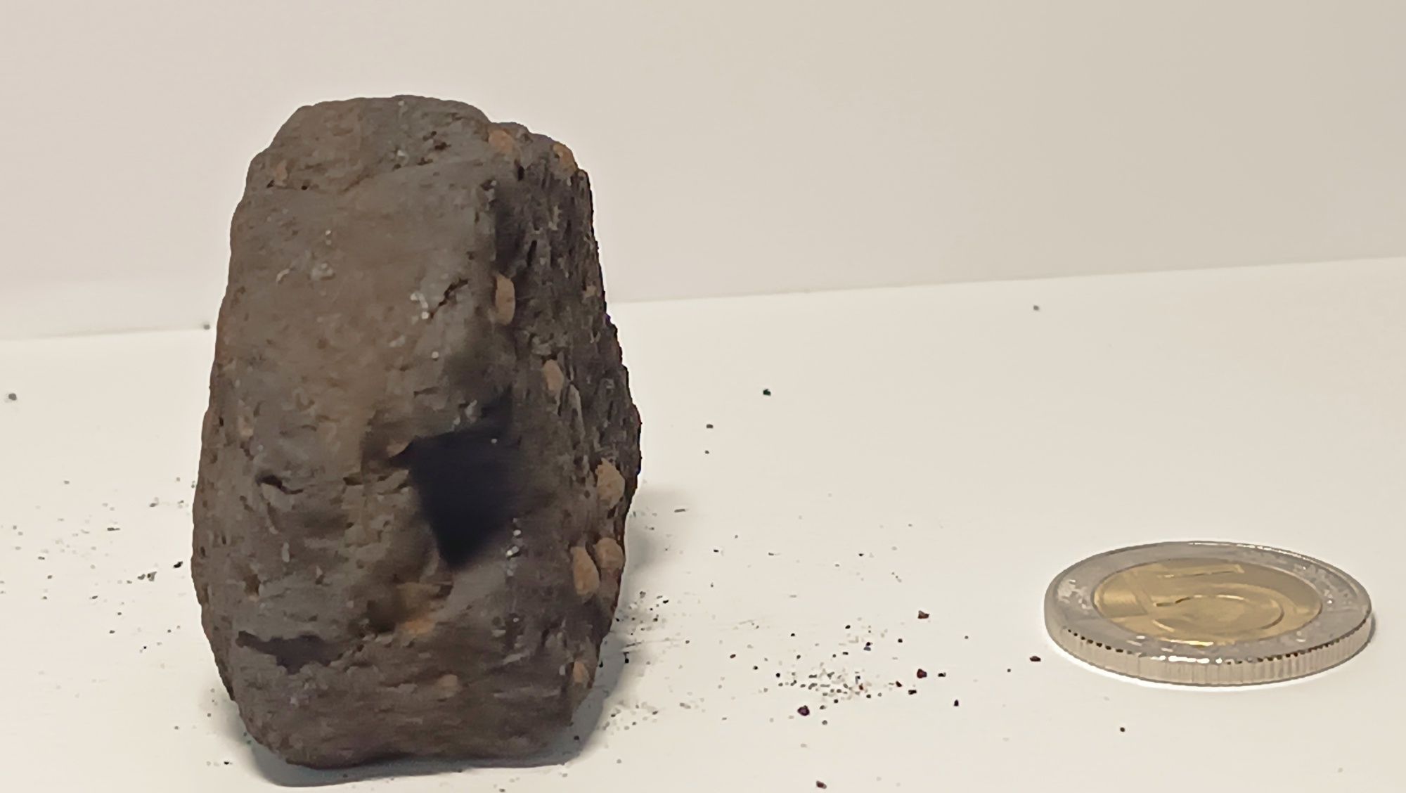 Fragment węgla z konkrecjami