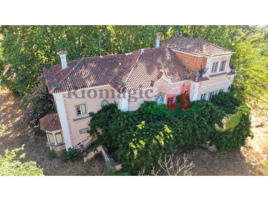 Quinta T5+ ***RIOMAGIC***