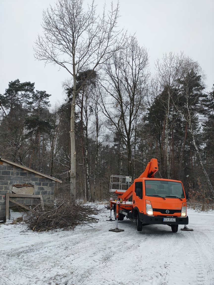 Podnośnik koszowy, zwyżka wynajem usługi