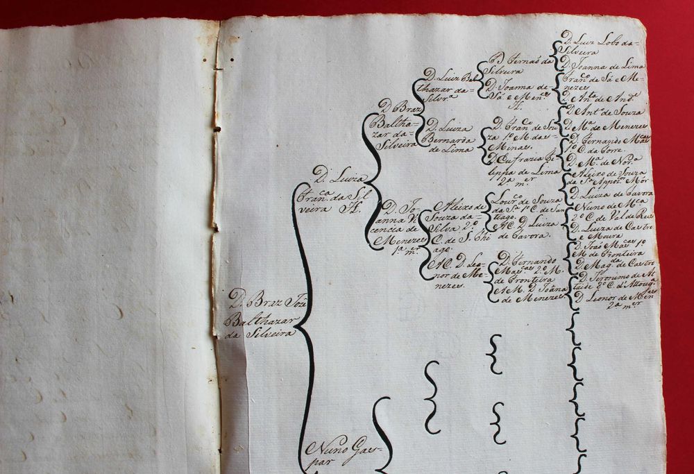 Senhores da Vila de São Cosmado Lamego apelido Silveira séc XVIII