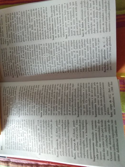 O Dicionário de bolso para enfermeiros de Bárbara Weller