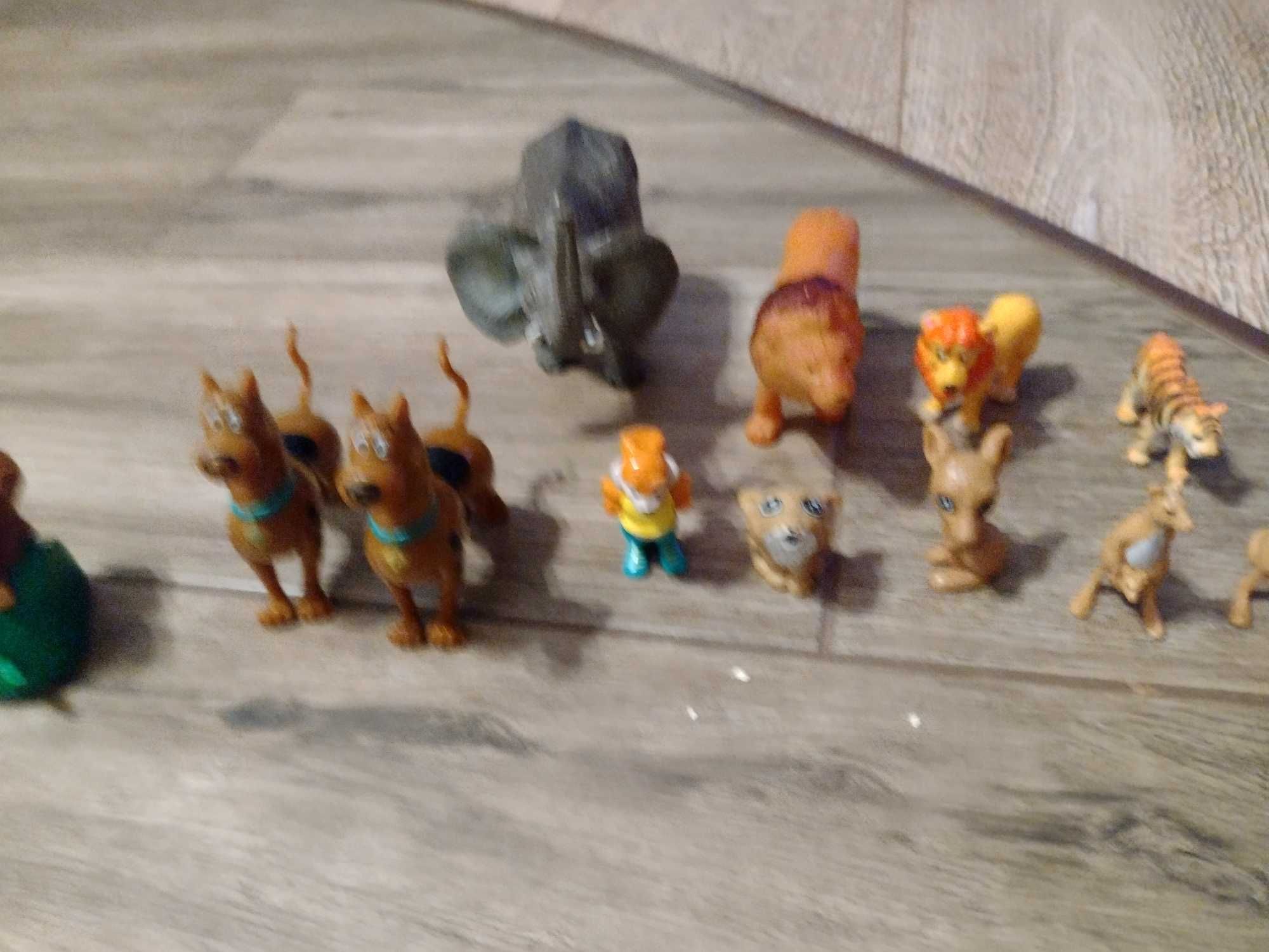 Dzikie zwierzęta i Scooby-doo 12 sztuk