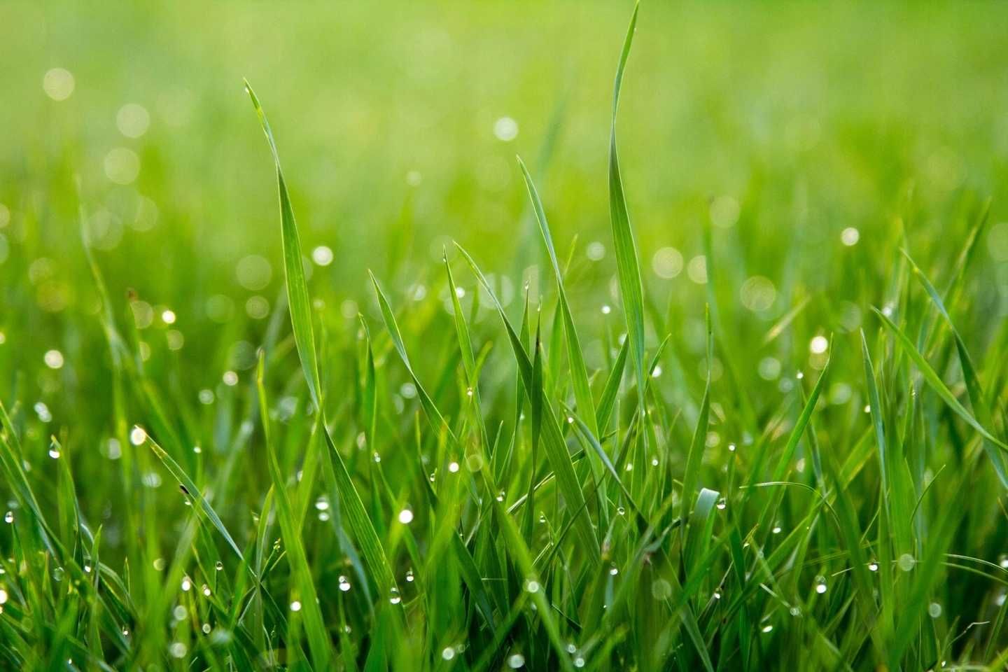 Wosk zapachowy do kominków AROMMA Ścięta Trawa 2 sztabki x 45 g. GRASS