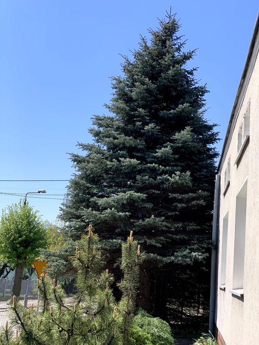 Dom z działką w świetnej lokalizacji w Aleksandrowie Kujawskim