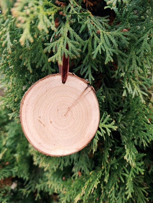 Іграшки- підвіски.Ручний розпис .Набір " Звірята"