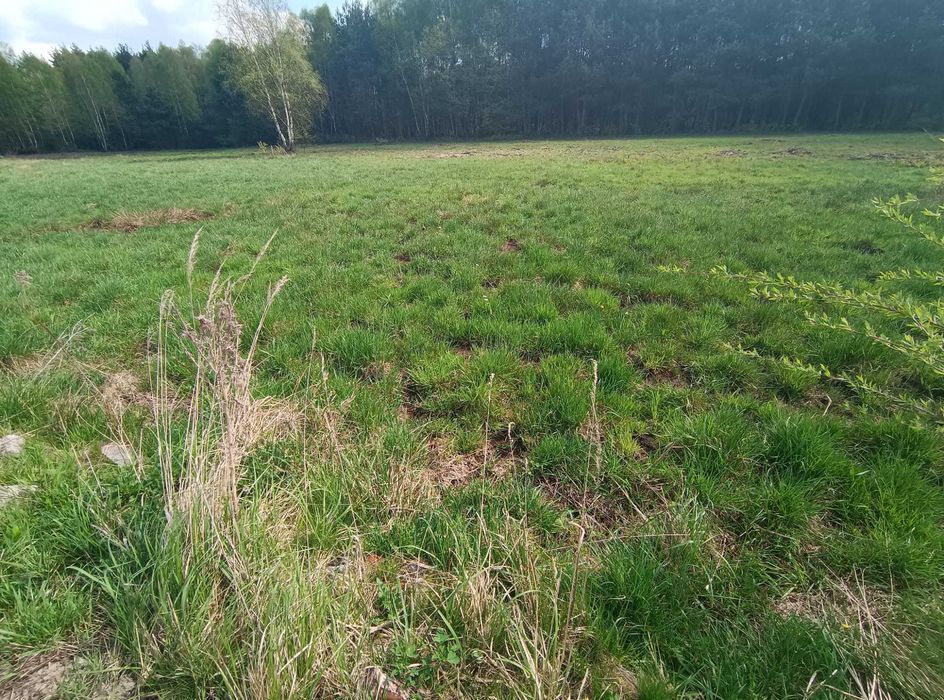 Sprzedam działkę budowlaną - Błędów - Dąbrowa Górnicza