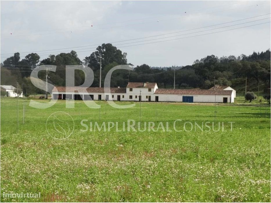 Casal do Meio - criação cavalos/turismo rural