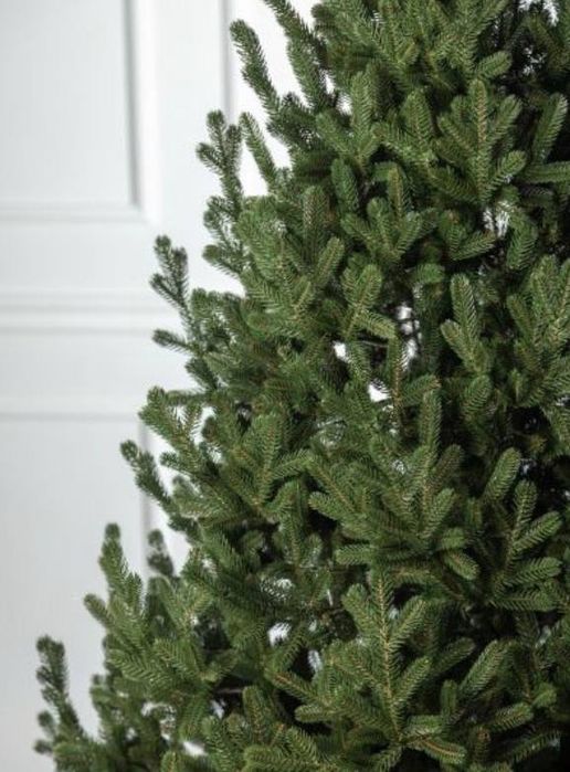 Ялинки литі Альпійська, Ковалівська, Лапландська, Віденська