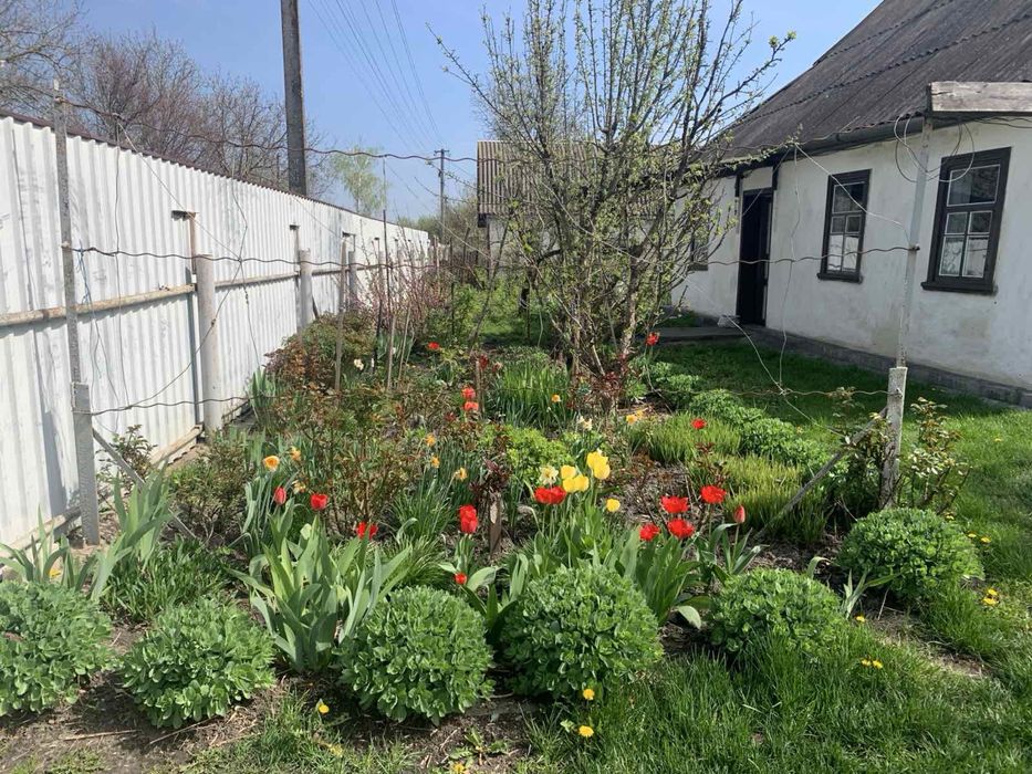 Продаж  будинку, для великої родини, в екологічно чистому с. Тубільці